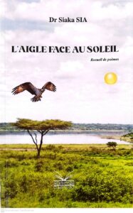 L&rsquo;Aigle face au soleil